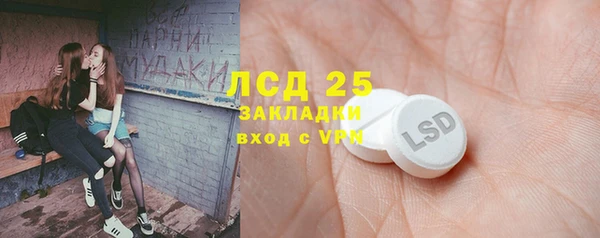 гидра Магас