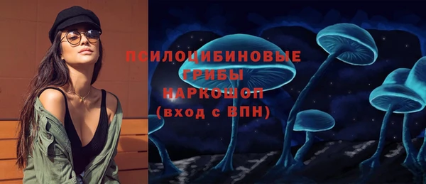 mdpv Рославль