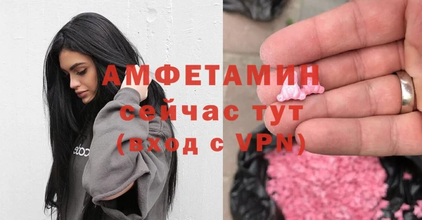 гидра Магас
