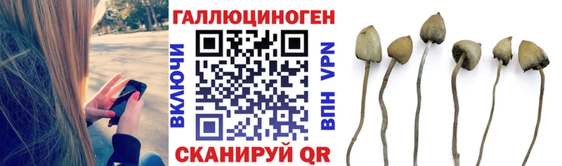 Псилоцибиновые грибы ЛСД  Чудово 